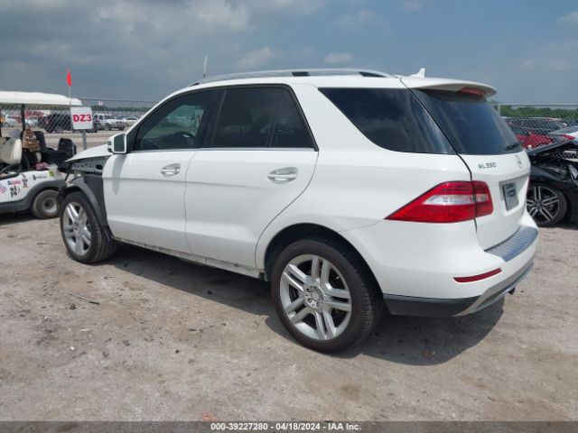 Photo 2 VIN: 4JGDA5JB2EA325161 - MERCEDES-BENZ ML 350 