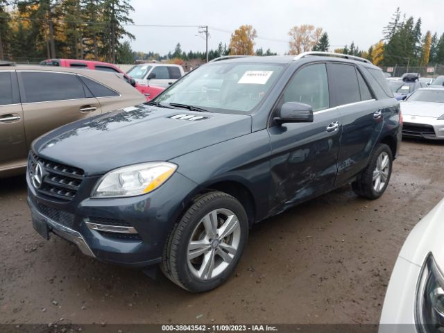 Photo 1 VIN: 4JGDA5JB2EA399146 - MERCEDES-BENZ ML 350 