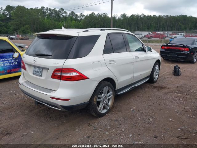 Photo 3 VIN: 4JGDA5JB3DA149249 - MERCEDES-BENZ ML 350 