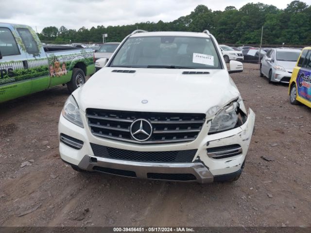 Photo 5 VIN: 4JGDA5JB3DA149249 - MERCEDES-BENZ ML 350 