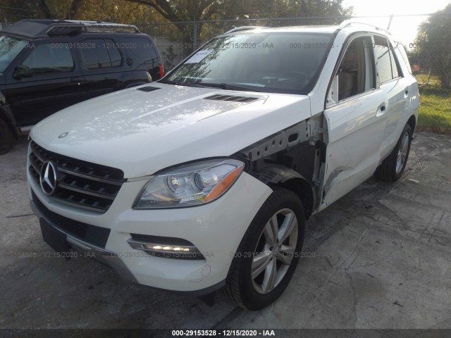 Photo 1 VIN: 4JGDA5JB4DA244953 - MERCEDES-BENZ M-CLASS 