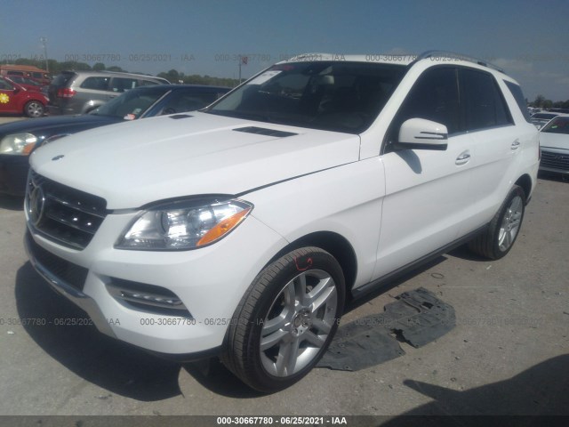 Photo 1 VIN: 4JGDA5JB4FA606797 - MERCEDES-BENZ M-CLASS 