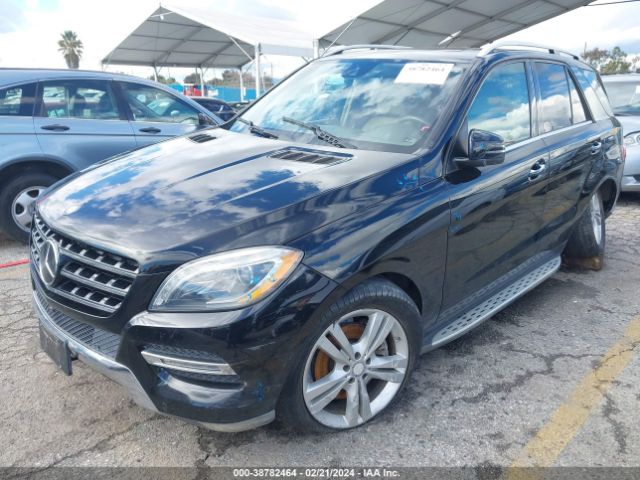 Photo 1 VIN: 4JGDA5JB5EA322884 - MERCEDES-BENZ ML 350 