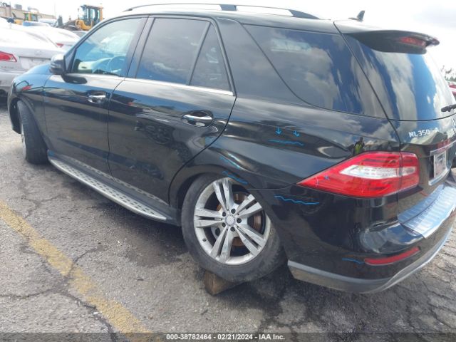 Photo 5 VIN: 4JGDA5JB5EA322884 - MERCEDES-BENZ ML 350 