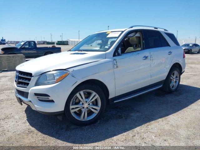 Photo 1 VIN: 4JGDA5JB6EA281374 - MERCEDES-BENZ ML 350 