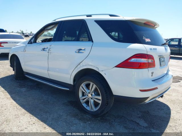 Photo 2 VIN: 4JGDA5JB6EA281374 - MERCEDES-BENZ ML 350 