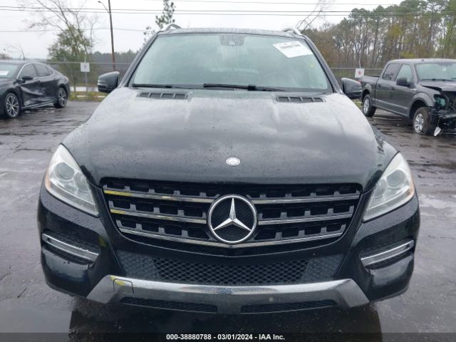 Photo 5 VIN: 4JGDA5JB6FA479664 - MERCEDES-BENZ ML 350 