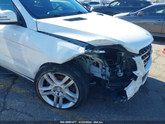 Photo 5 VIN: 4JGDA5JB6FA507219 - MERCEDES-BENZ ML 350 