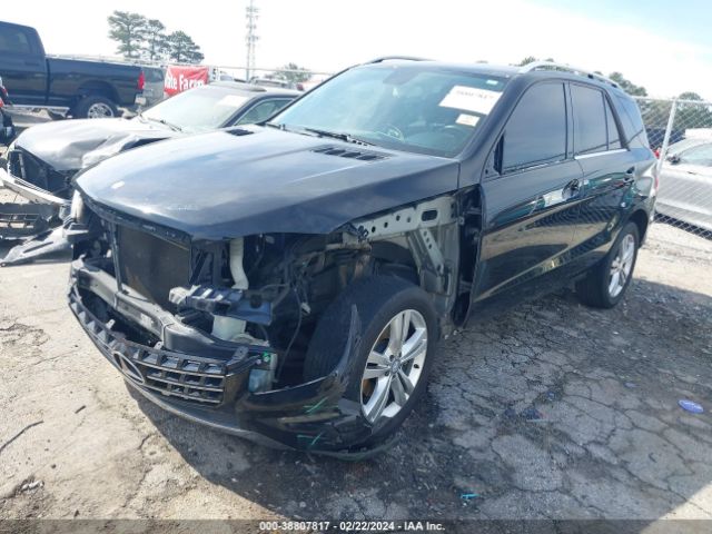 Photo 1 VIN: 4JGDA5JB6FA528166 - MERCEDES-BENZ ML 350 