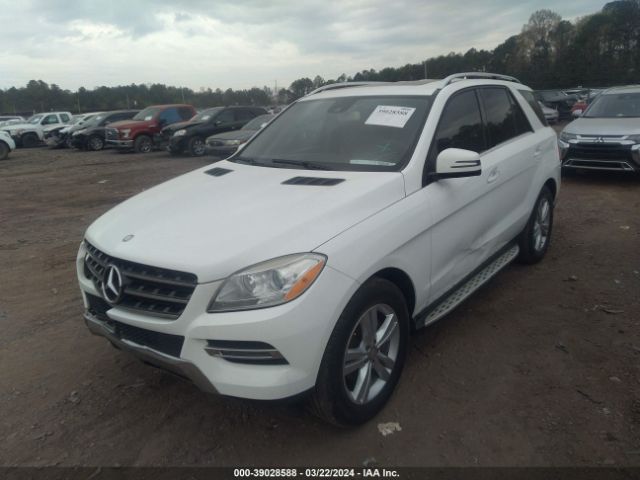 Photo 1 VIN: 4JGDA5JB6FA566397 - MERCEDES-BENZ ML 