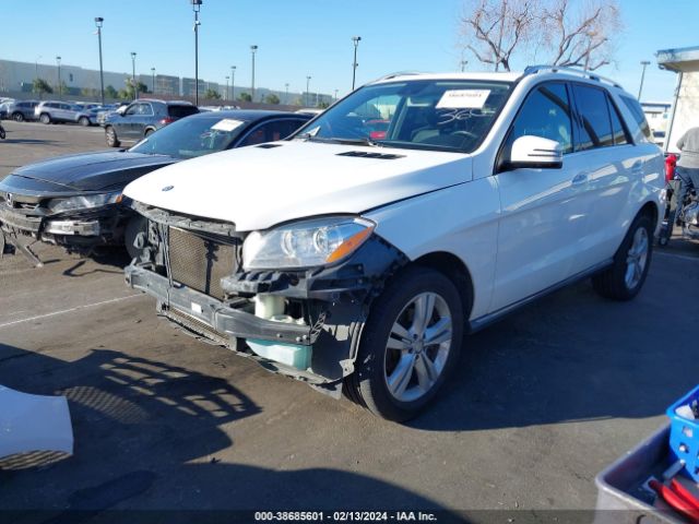 Photo 1 VIN: 4JGDA5JB6FA576735 - MERCEDES-BENZ ML 350 