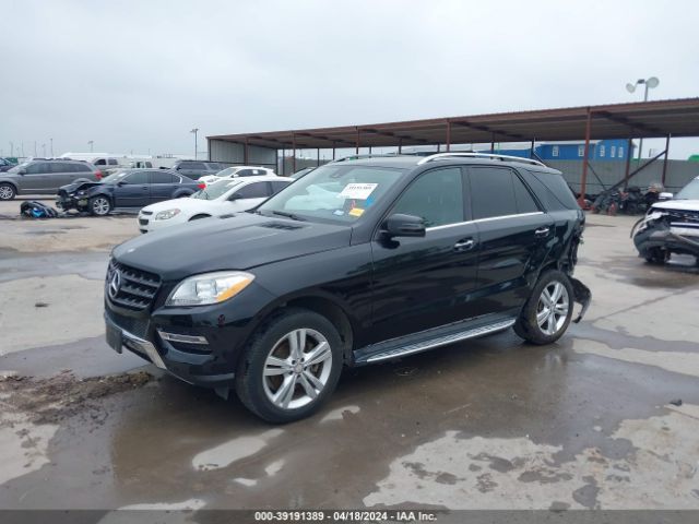 Photo 1 VIN: 4JGDA5JB6FA610785 - MERCEDES-BENZ ML 350 