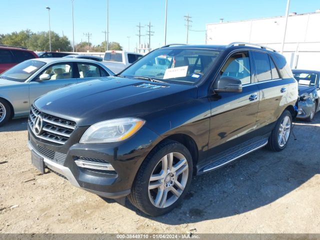 Photo 1 VIN: 4JGDA5JB8EA300359 - MERCEDES-BENZ ML 350 