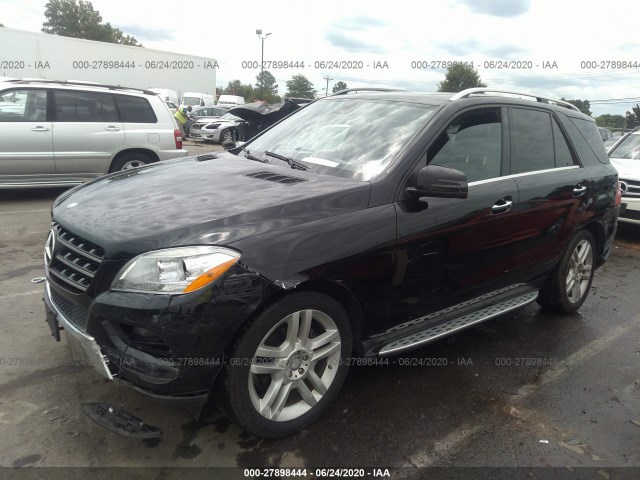 Photo 5 VIN: 4JGDA5JB8EA421778 - MERCEDES-BENZ M-CLASS 