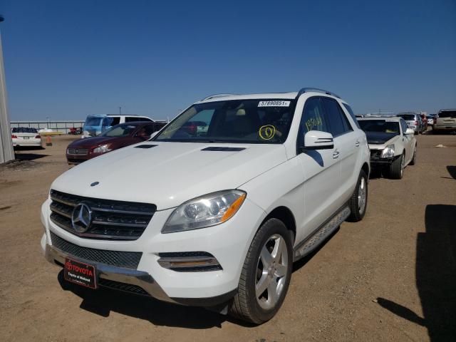 Photo 1 VIN: 4JGDA5JB9EA335394 - MERCEDES-BENZ ML 350 