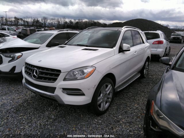 Photo 1 VIN: 4JGDA5JB9FA525486 - MERCEDES-BENZ ML 350 