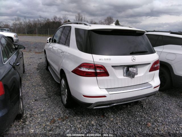 Photo 2 VIN: 4JGDA5JB9FA525486 - MERCEDES-BENZ ML 350 