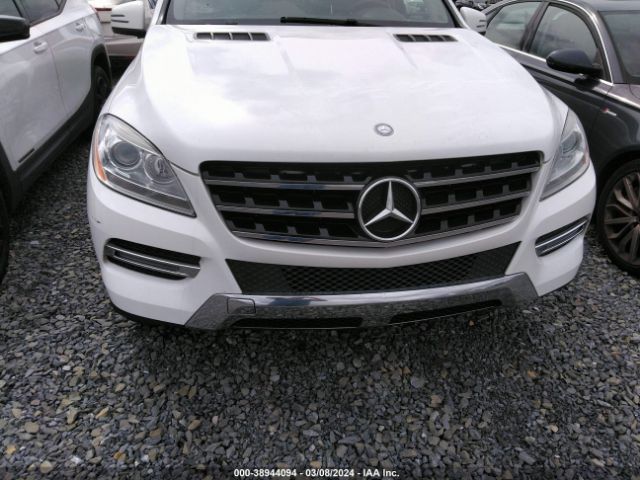 Photo 5 VIN: 4JGDA5JB9FA525486 - MERCEDES-BENZ ML 350 