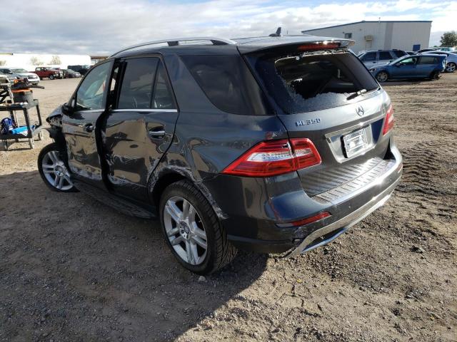 Photo 1 VIN: 4JGDA5JBXEA336554 - MERCEDES-BENZ ML 350 