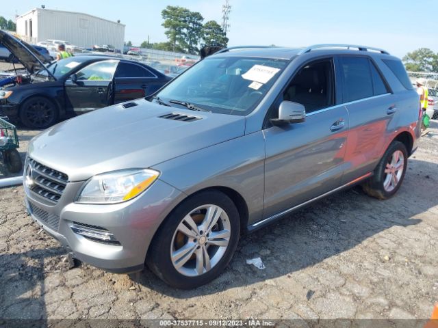 Photo 1 VIN: 4JGDA5JBXFA545861 - MERCEDES-BENZ M-CLASS 