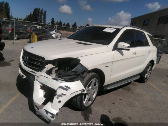 Photo 1 VIN: 4JGDA7DB1DA175758 - MERCEDES-BENZ M-CLASS 