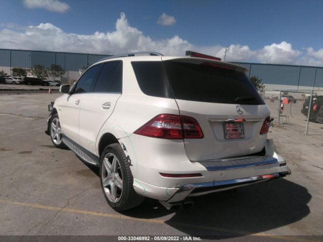 Photo 2 VIN: 4JGDA7DB1DA175758 - MERCEDES-BENZ M-CLASS 