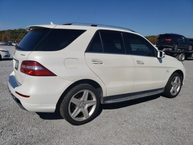 Photo 2 VIN: 4JGDA7DB9DA156584 - MERCEDES-BENZ M-CLASS 