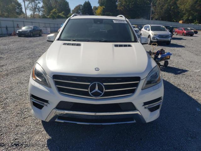 Photo 4 VIN: 4JGDA7DB9DA156584 - MERCEDES-BENZ M-CLASS 