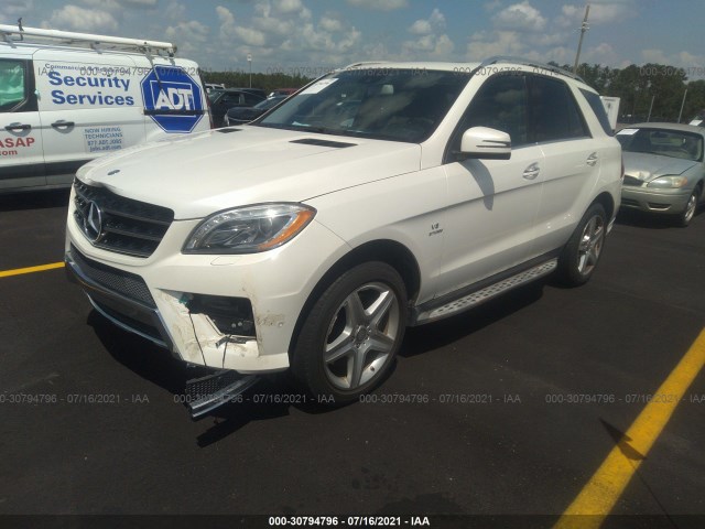 Photo 1 VIN: 4JGDA7DB9DA156584 - MERCEDES-BENZ M-CLASS 