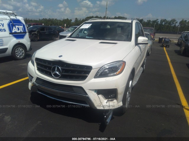 Photo 5 VIN: 4JGDA7DB9DA156584 - MERCEDES-BENZ M-CLASS 