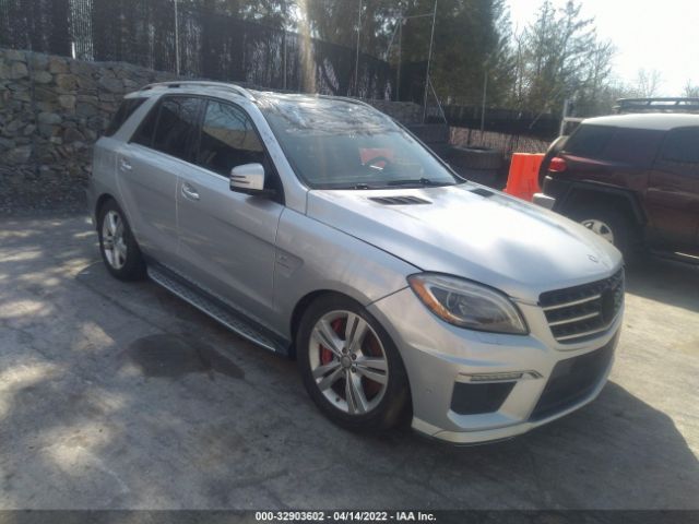 Photo 0 VIN: 4JGDA7EB1DA204190 - MERCEDES-BENZ M-CLASS 