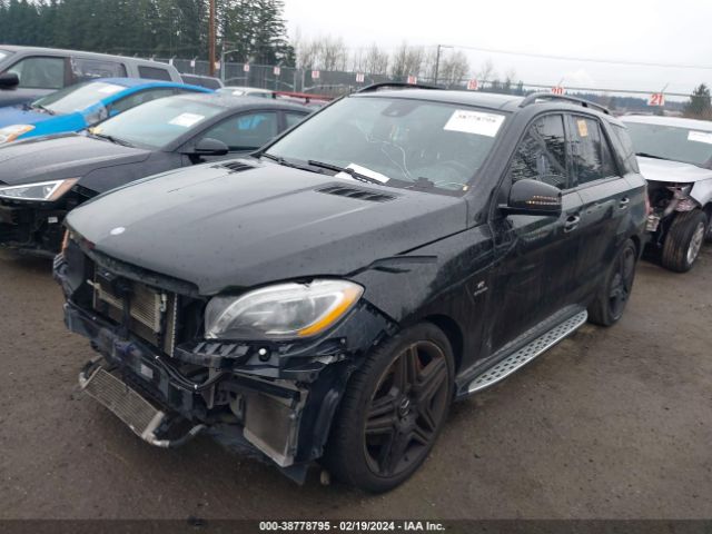 Photo 1 VIN: 4JGDA7EB9FA469510 - MERCEDES-BENZ ML 63 AMG 