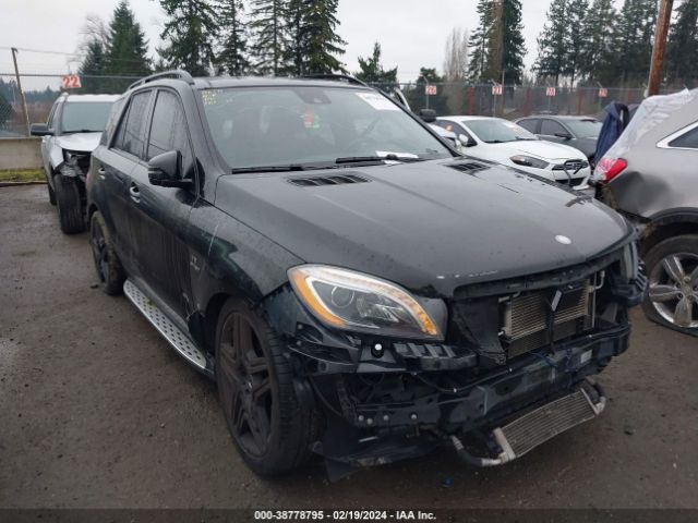 Photo 5 VIN: 4JGDA7EB9FA469510 - MERCEDES-BENZ ML 63 AMG 