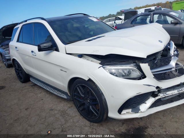 Photo 0 VIN: 4JGDA7FB9HA862960 - MERCEDES-BENZ GLE 