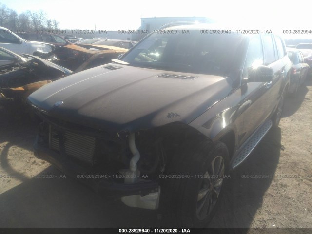 Photo 1 VIN: 4JGDF2EE4FA506008 - MERCEDES-BENZ GL 350 