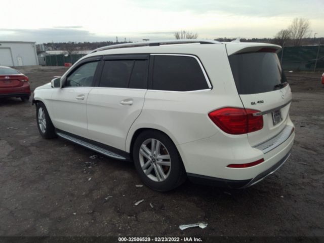 Photo 2 VIN: 4JGDF2EE5DA169796 - MERCEDES-BENZ GL-CLASS 