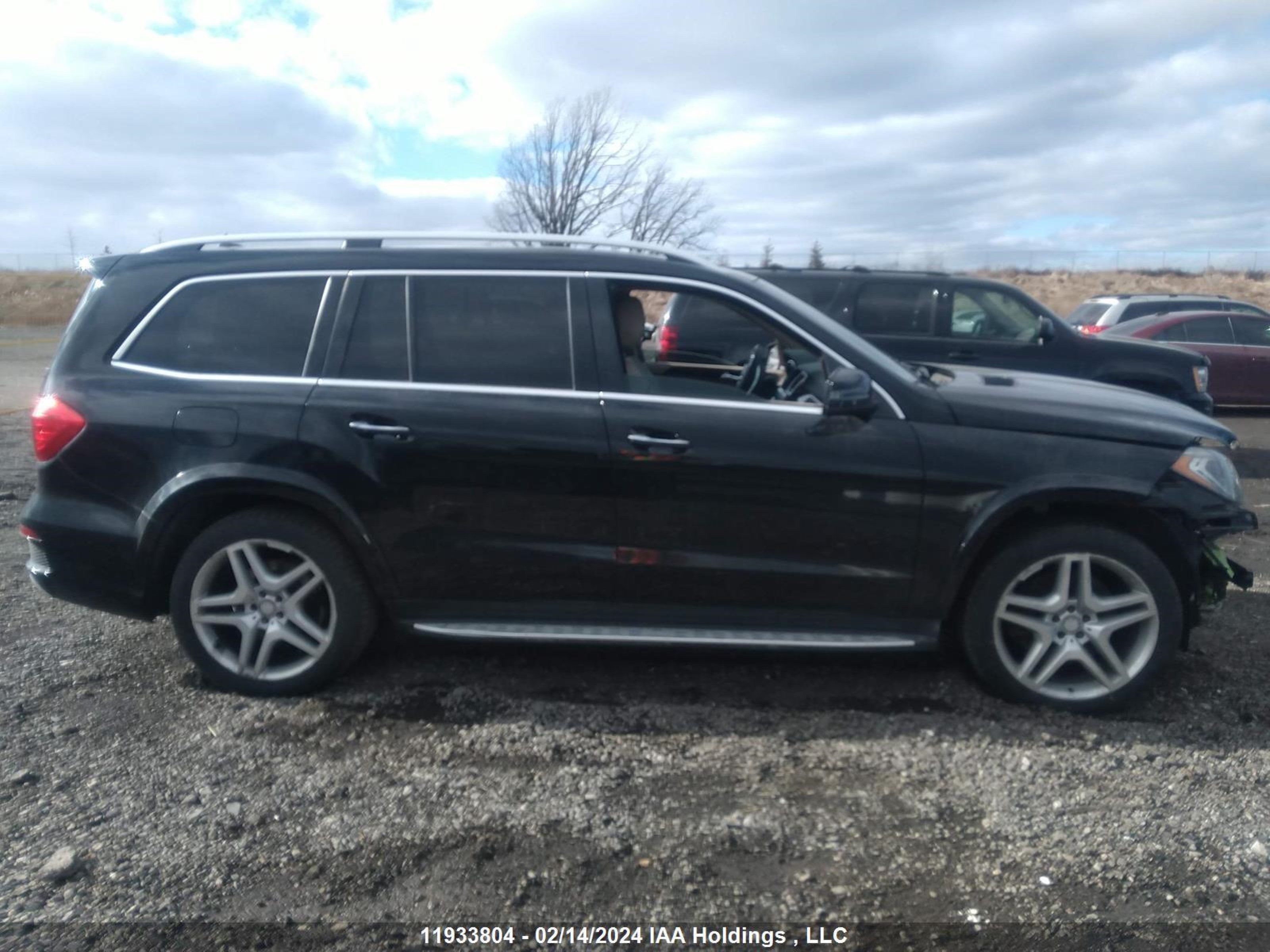 Photo 12 VIN: 4JGDF2EE5EA388551 - MERCEDES-BENZ GL-KLASSE 