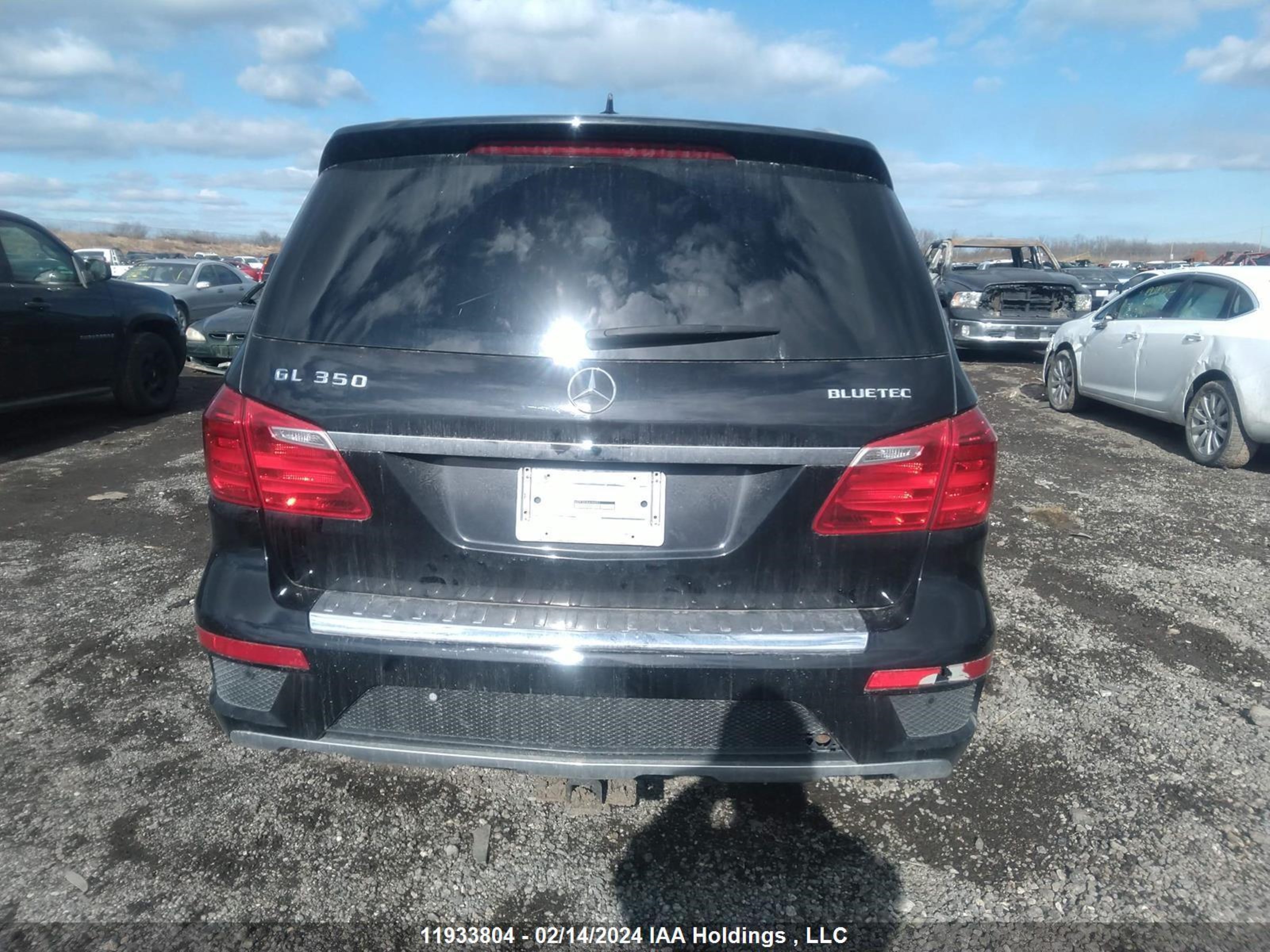 Photo 15 VIN: 4JGDF2EE5EA388551 - MERCEDES-BENZ GL-KLASSE 