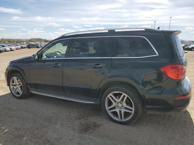 Photo 1 VIN: 4JGDF2EE6EA328746 - MERCEDES-BENZ GL-CLASS 