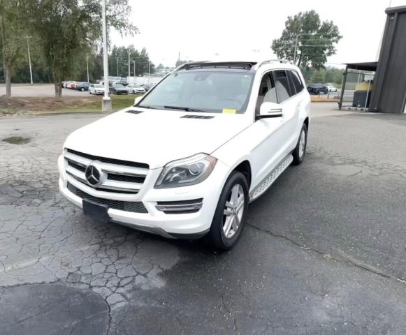 Photo 1 VIN: 4JGDF2EEXEA399187 - MERCEDES-BENZ GL 350 