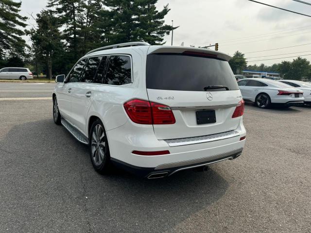 Photo 3 VIN: 4JGDF6EE3GA621305 - MERCEDES-BENZ GL 450 4MA 