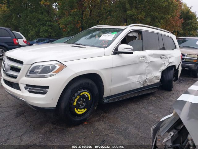 Photo 1 VIN: 4JGDF6EE6FA504266 - MERCEDES-BENZ GL-CLASS 