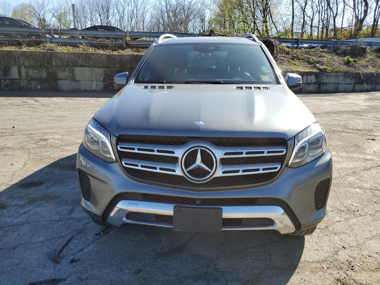 Photo 4 VIN: 4JGDF6EE7HA855707 - MERCEDES-BENZ GLS-KLASSE 