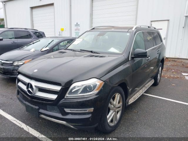 Photo 1 VIN: 4JGDF7CE3DA258024 - MERCEDES-BENZ GL 450 