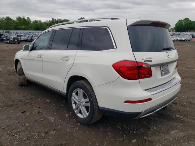 Photo 1 VIN: 4JGDF7CE4DA246948 - MERCEDES-BENZ GL-CLASS 