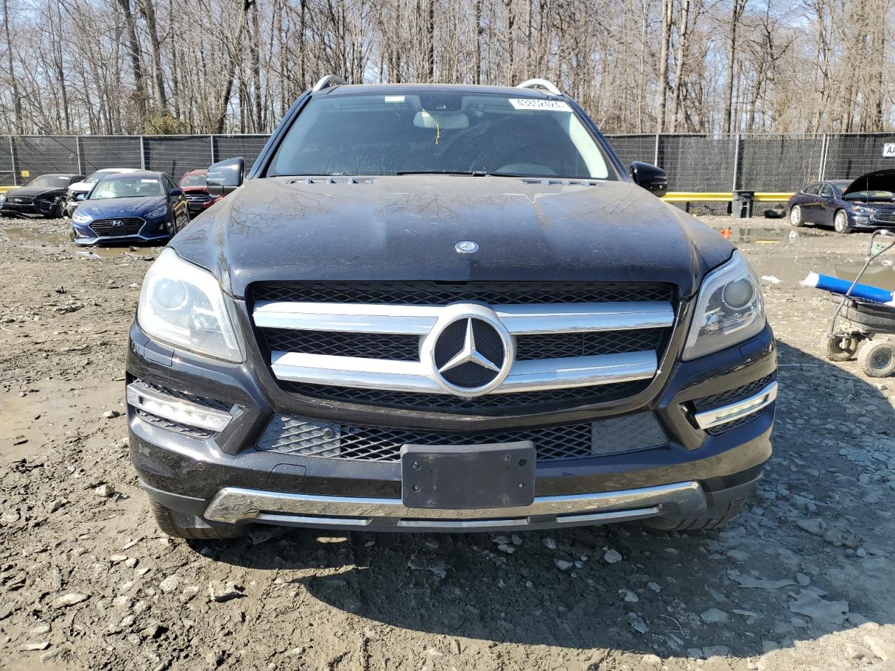 Photo 4 VIN: 4JGDF7CE6DA250614 - MERCEDES-BENZ GL 