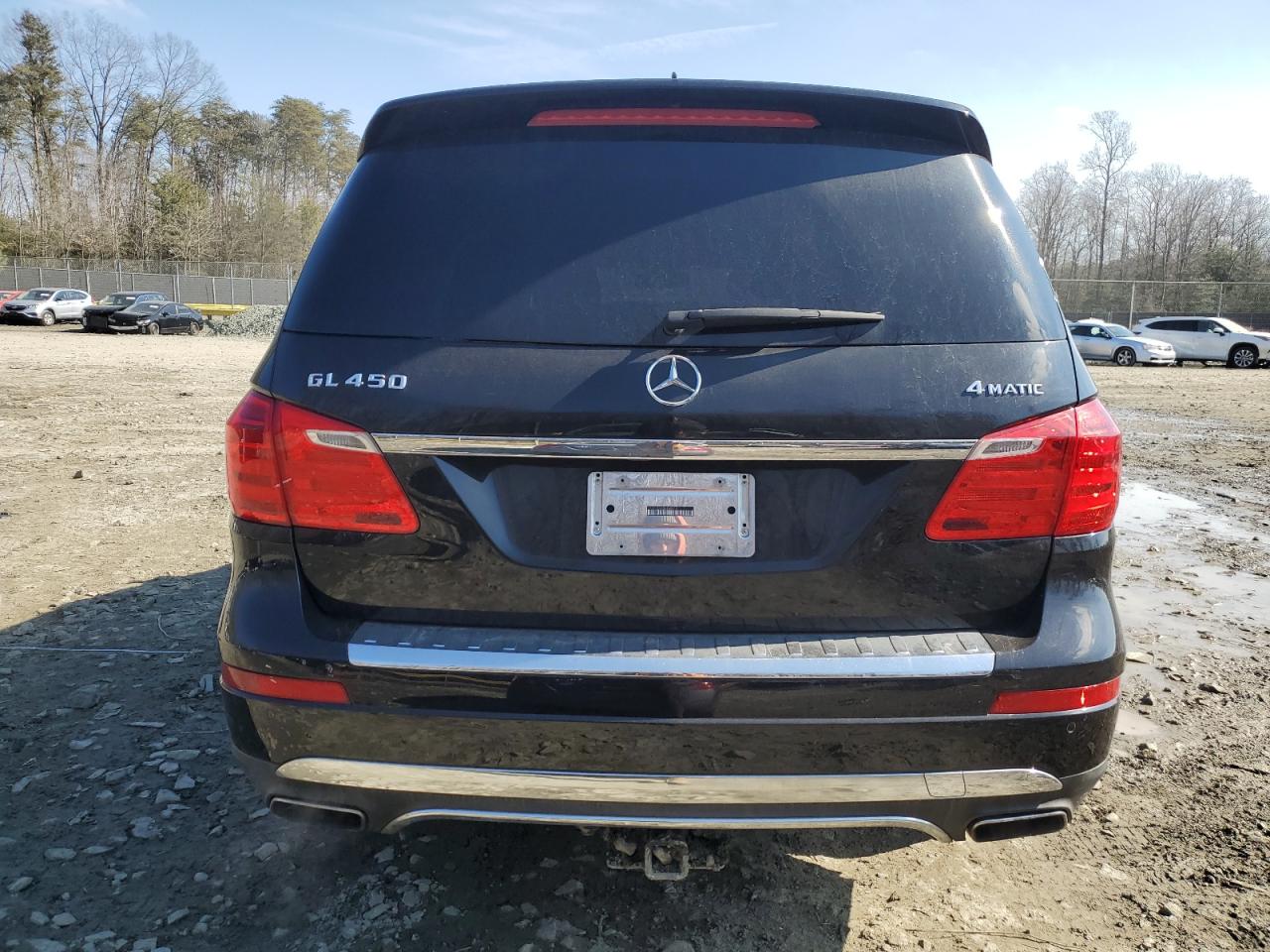 Photo 5 VIN: 4JGDF7CE6DA250614 - MERCEDES-BENZ GL 