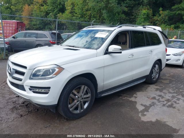 Photo 1 VIN: 4JGDF7CE8EA401888 - MERCEDES-BENZ GL-CLASS 