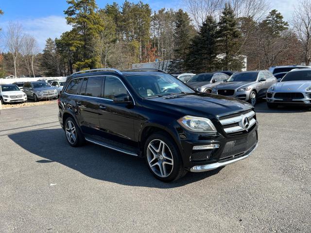 Photo 1 VIN: 4JGDF7DE1EA328961 - MERCEDES-BENZ GL-CLASS 