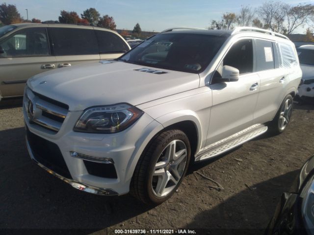 Photo 1 VIN: 4JGDF7DE2FA519838 - MERCEDES-BENZ GL-CLASS 